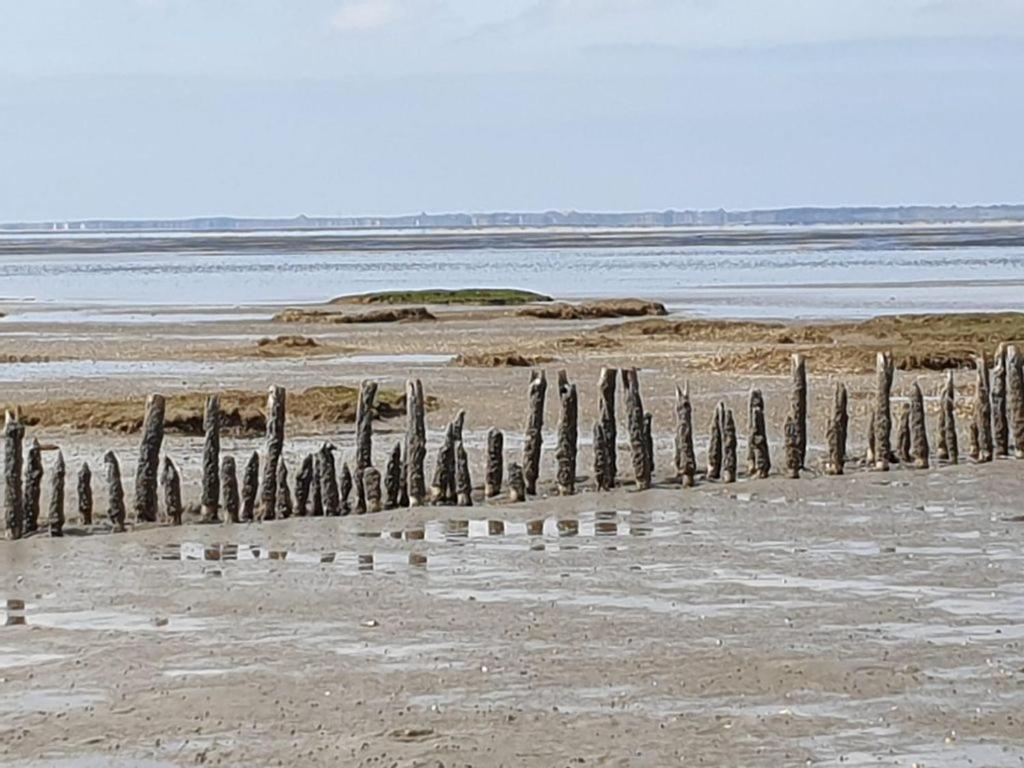 Studio Mit Meerblick Und Grosser Loggia - Direktzugang Zur Nordsee Wilhelmshaven Zewnętrze zdjęcie